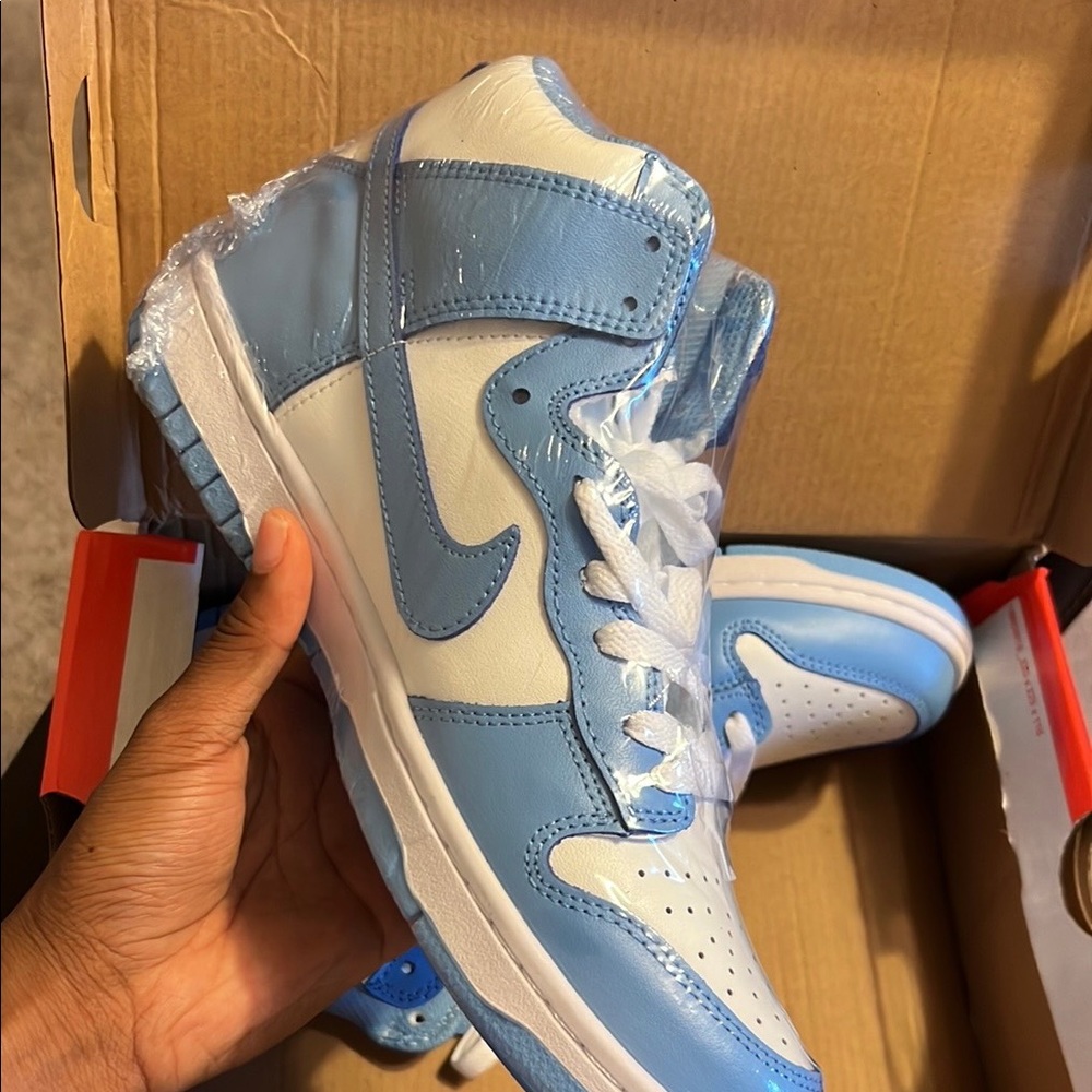 Mens Nike High Dunks